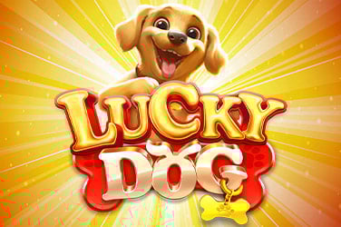 Lucky Dog