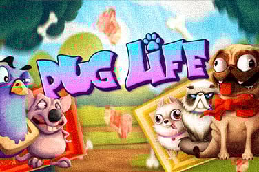 Pug Life