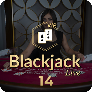 Blackjack VIP 14
